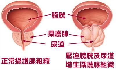 邯郸燕赵中医医院