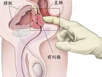 邯郸燕赵中医医院