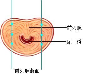 邯郸燕赵中医医院