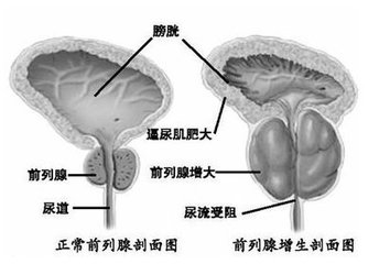 邯郸燕赵中医医院